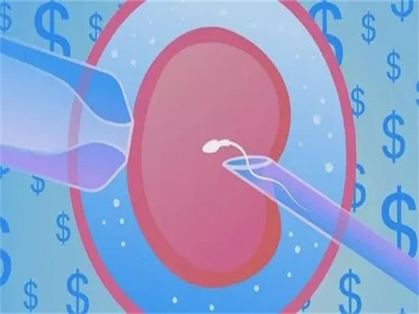 为什么越来越多中国中高收入家庭赴美做试管婴儿？优势与全流程攻略揭秘